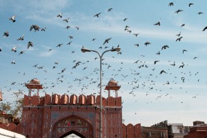 Une visite des chefs à Jaipur