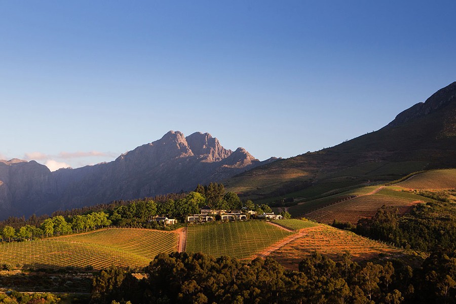 Déjalo ir a tu cabeza:una guía para principiantes de la región vinícola del Cabo