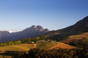 Déjalo ir a tu cabeza:una guía para principiantes de la región vinícola del Cabo