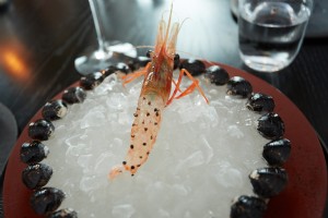 No te preocupes, el camarón está muerto. Más otros 15 platos servidos en el pop-up de Noma Japan 