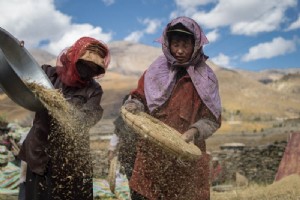 Makan Siang Tak Terduga untuk Dua Orang di Kastil Tibet 