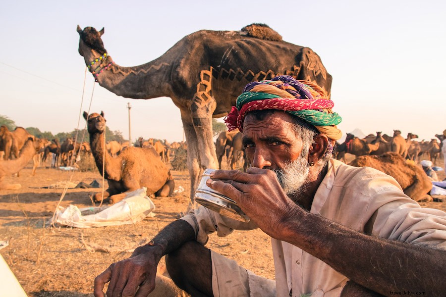 Chai de leche de camellos en Pushkar 