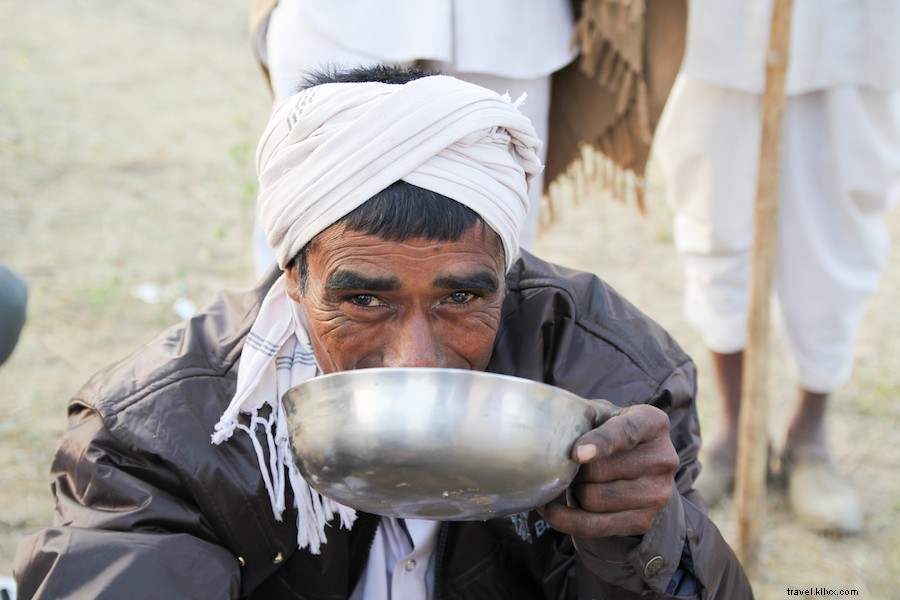 Chai au lait de chameaux à Pushkar 