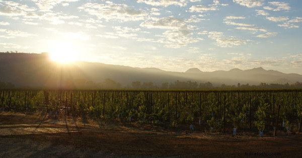 Une visite des vins de Napa et Sonoma 