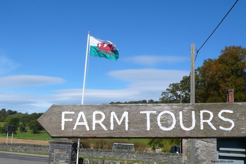 Agricultura, Forrajeando y festejar en Gales 