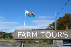 Agricultura, Forragem, e Festejando no País de Gales 