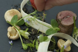 Panduan Koki Denmark untuk Makan di Luar di Kopenhagen 