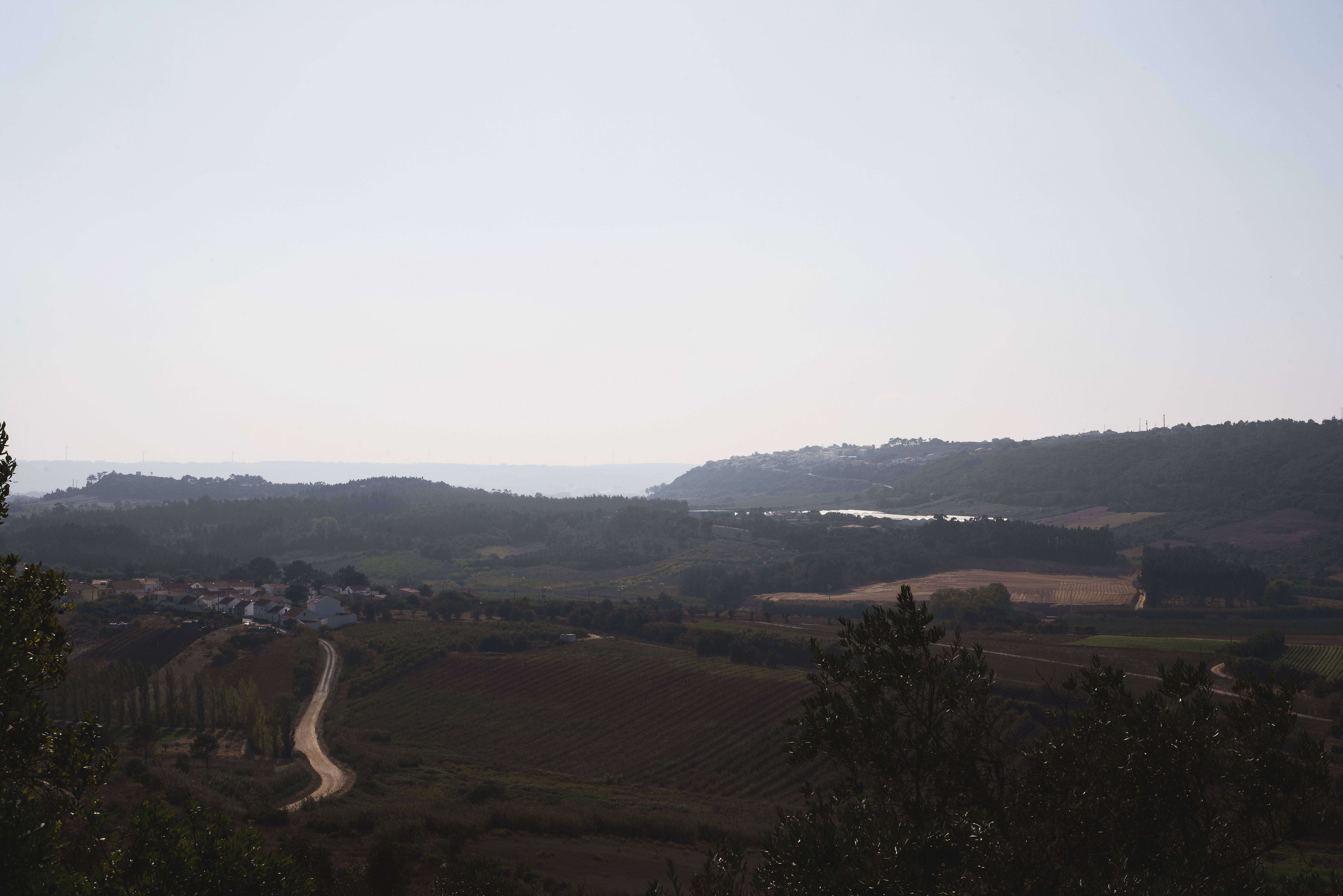 Una nebbia leggera copre il paesaggio all orizzonte foto 