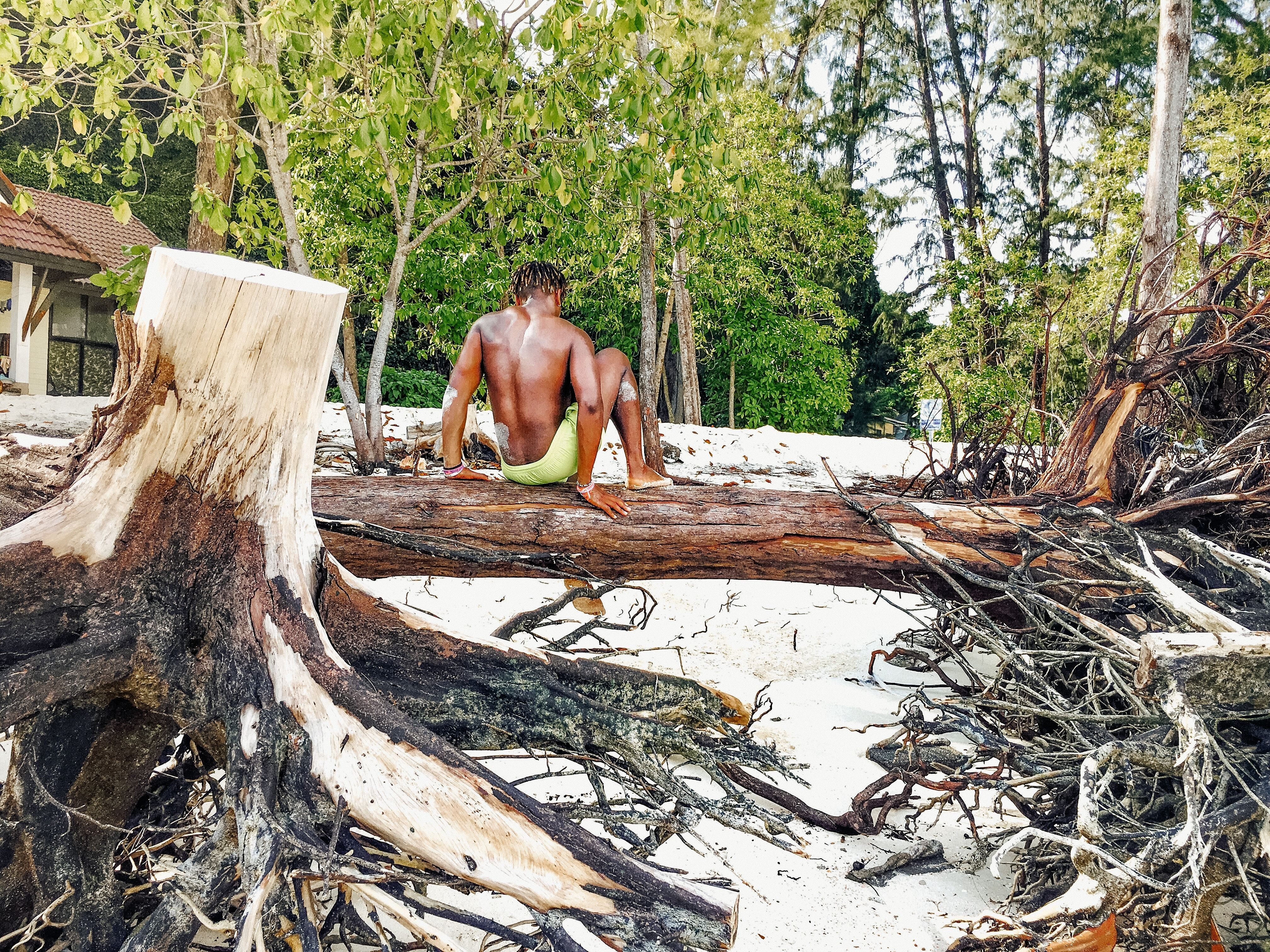 Jeune homme assis sur un arbre tombé Photo 