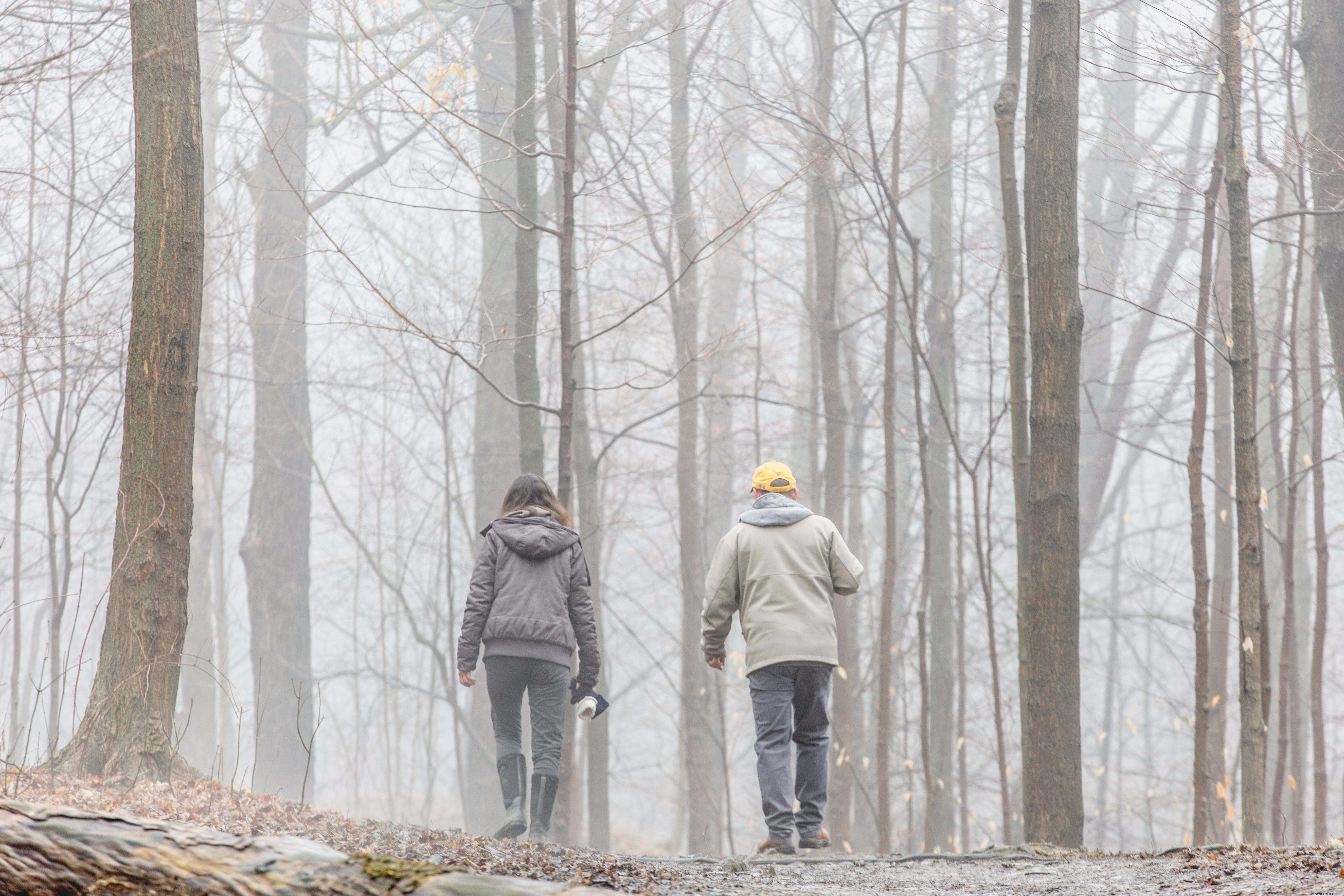 Una pareja mayor pasea por un bosque lleno de niebla 