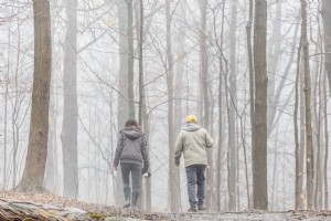 Foto de um casal mais velho entra em uma floresta cheia de nevoeiro 