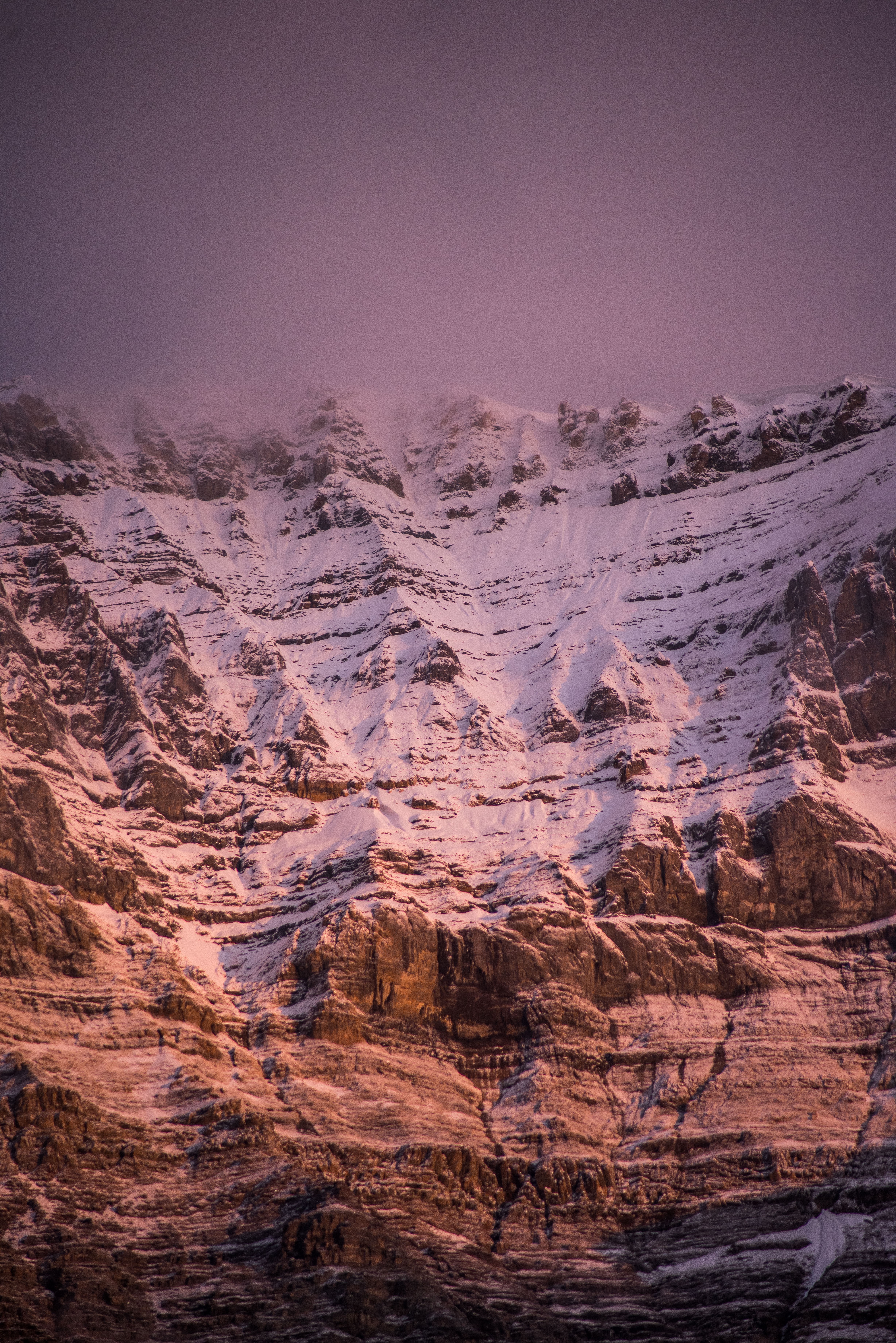 Teinte rose sur la photo des montagnes enneigées 