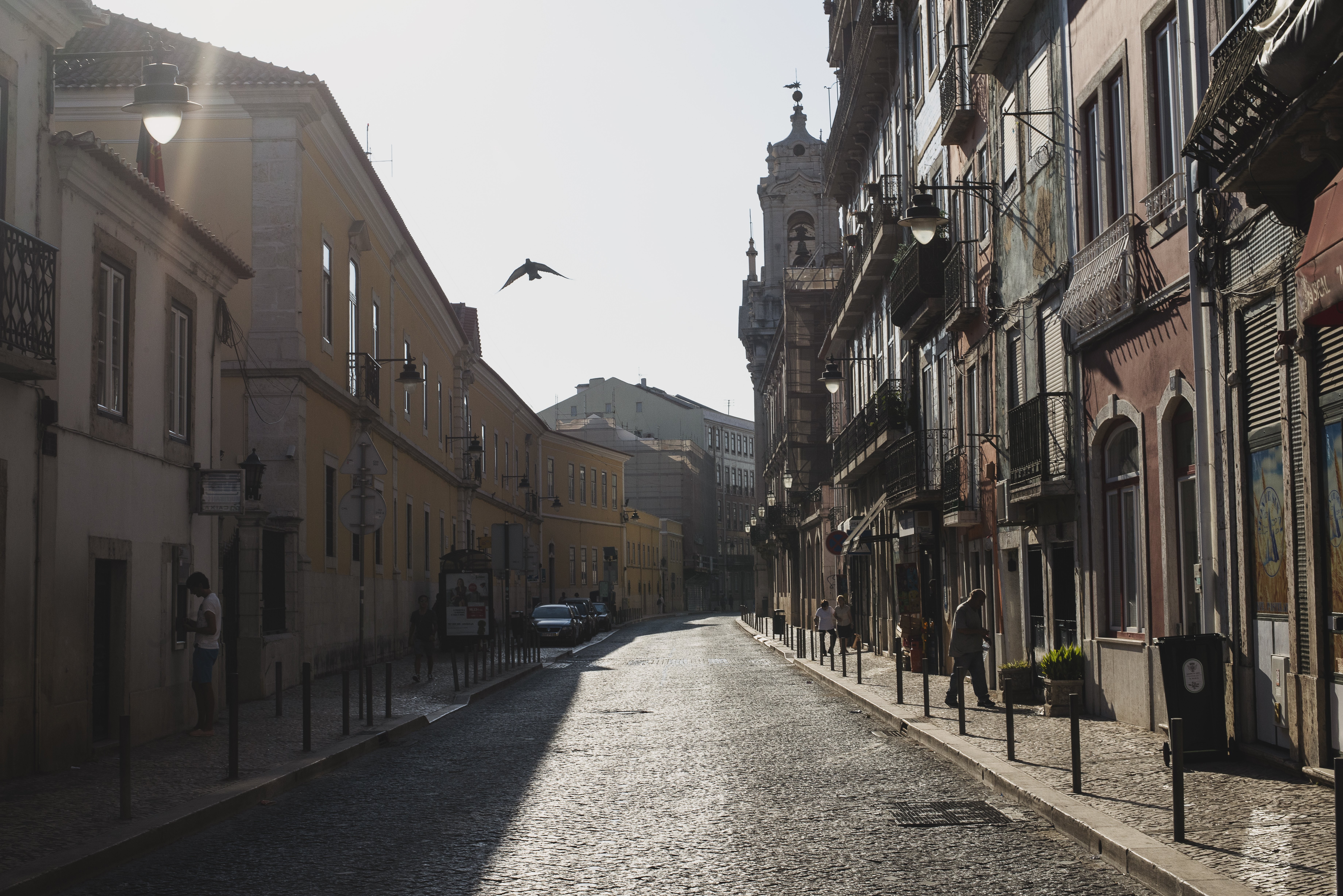 Un oiseau vole à travers une photo de rue calme 