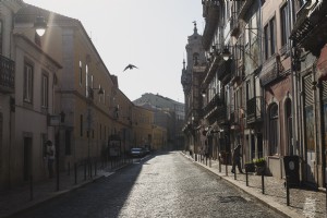 Un uccello vola in una strada tranquilla Foto 