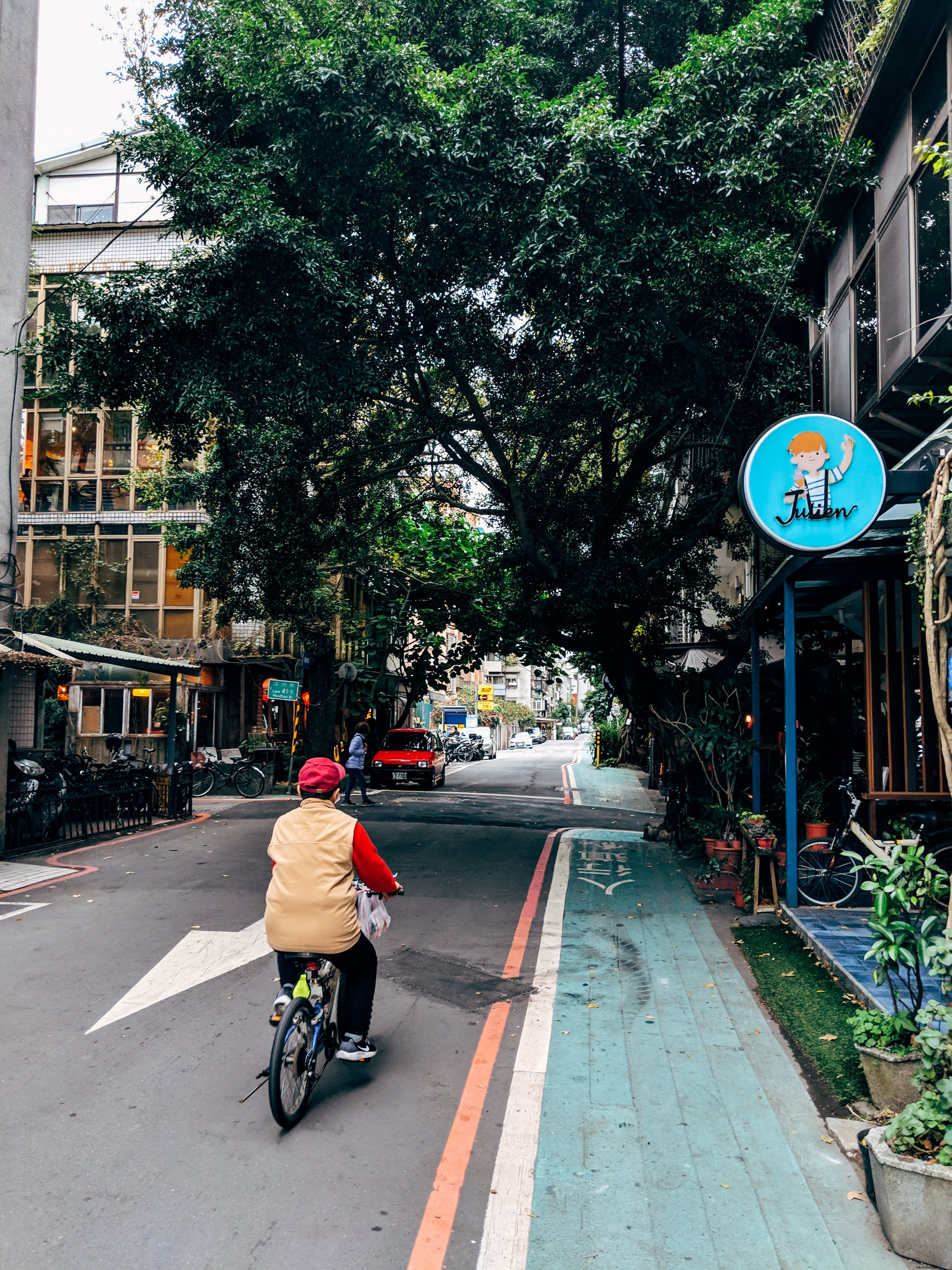 Un hombre, un árbol y una ciudad. 