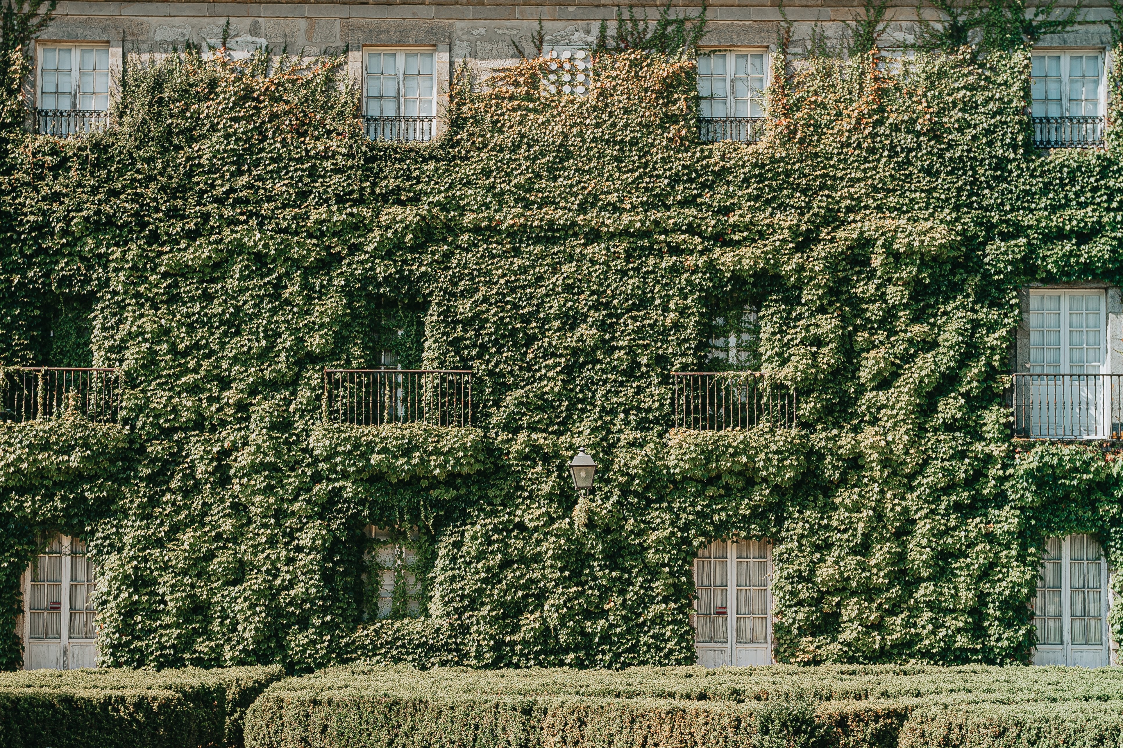 Foto de um prédio antigo coberto de folhagem verde 