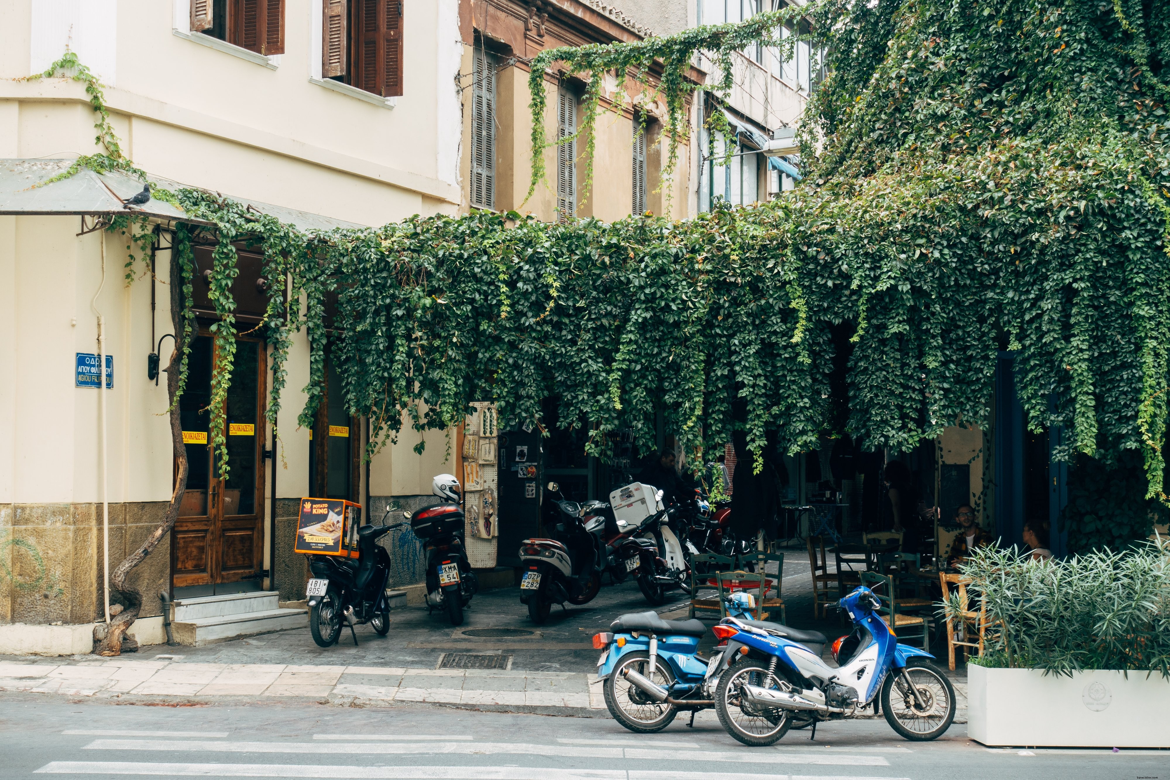 Motos aparcadas bajo la foto de las enredaderas verdes 