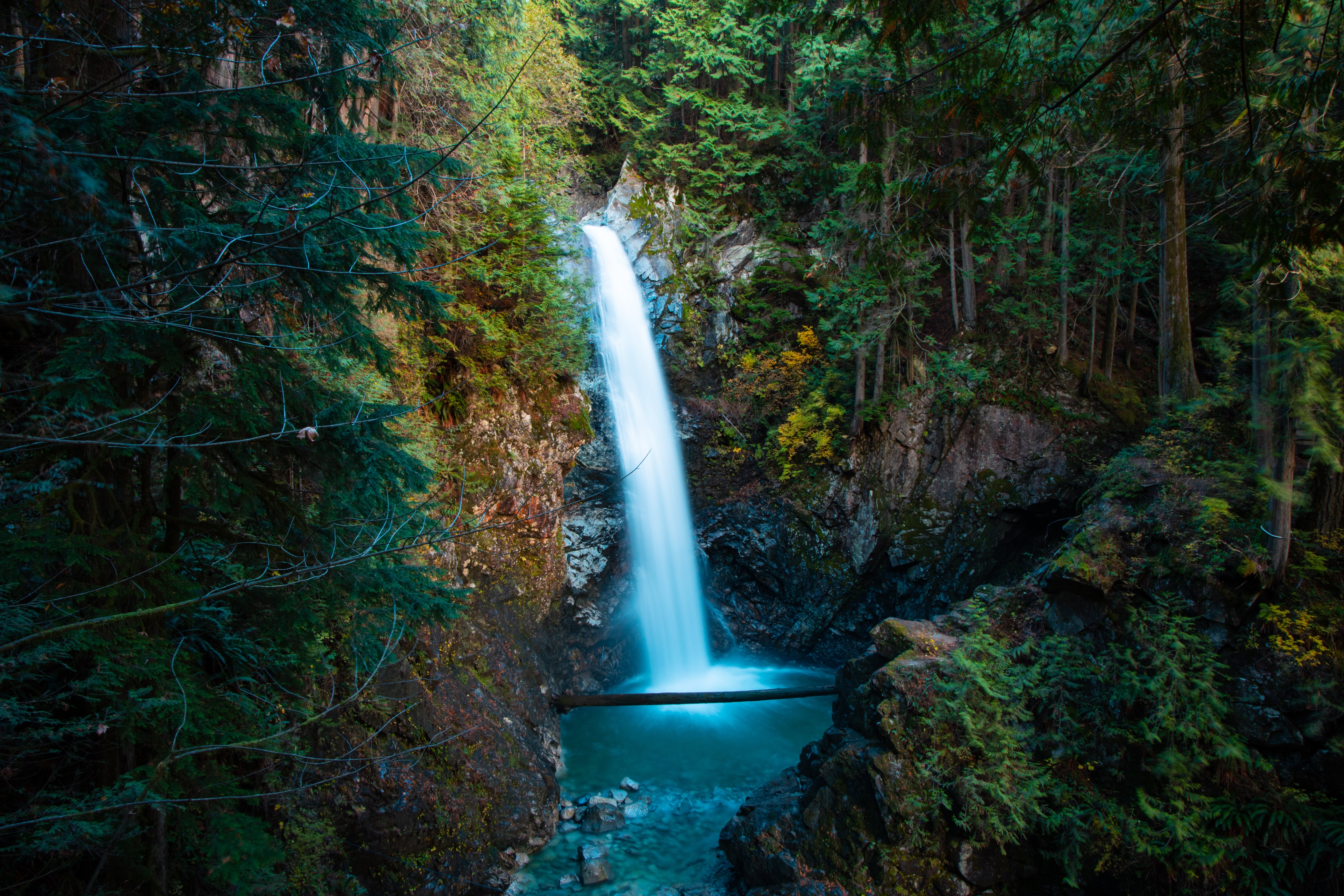 Cascade à travers une photo de forêt verte luxuriante 