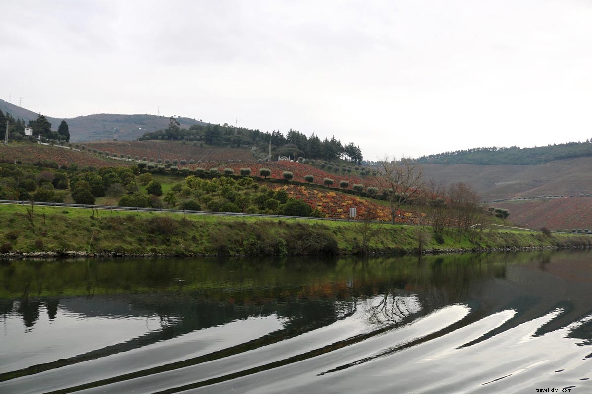 サルード！ポルトガルの風光明媚なドウロ渓谷をクルージング 