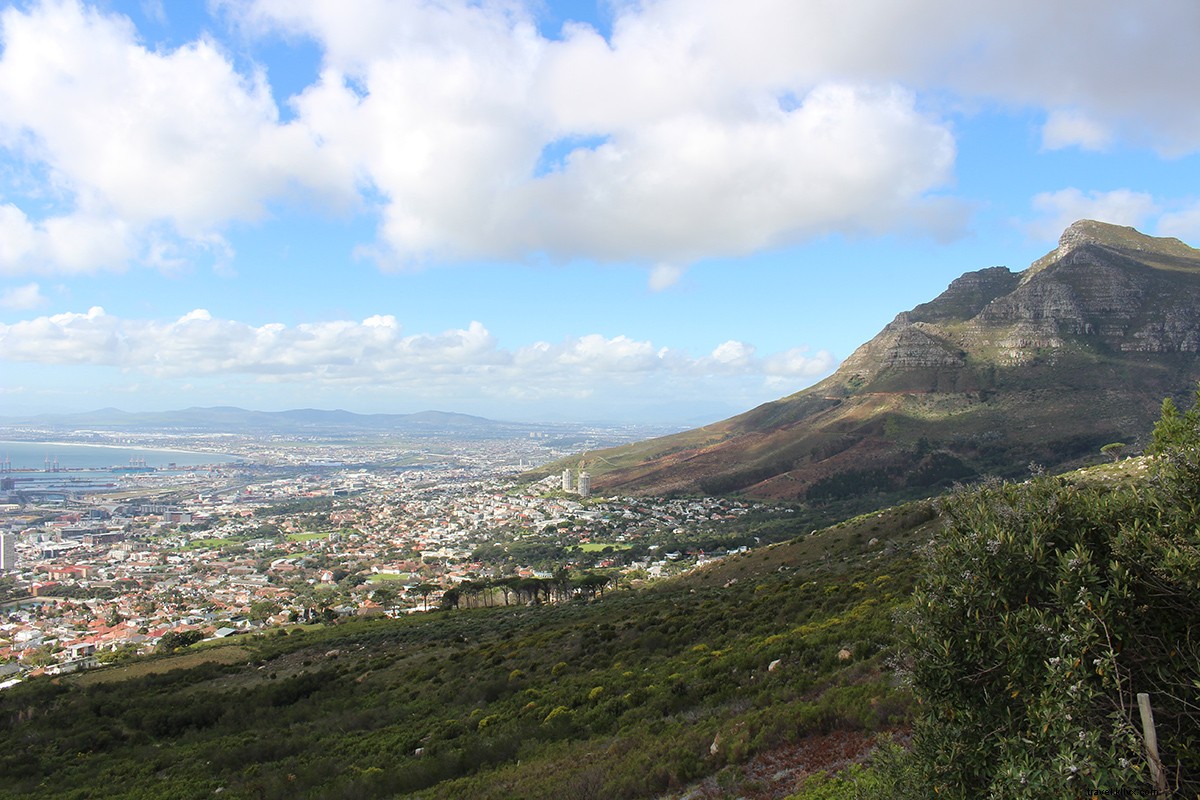 Cape Town è la prossima grande destinazione artistica del mondo 