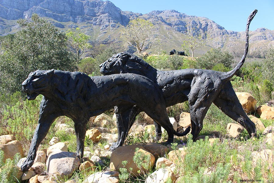 Domando a beleza selvagem das vinícolas do Cabo na África do Sul 