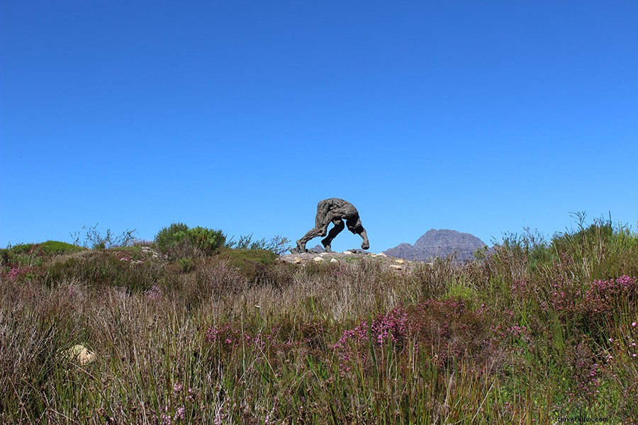 Domar la belleza salvaje de los viñedos del Cabo en Sudáfrica 