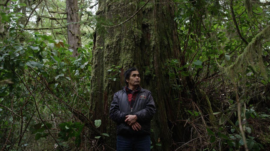 Mendayung dan Bersantap Pedesaan Dunia Lama di Pulau Vancouver 