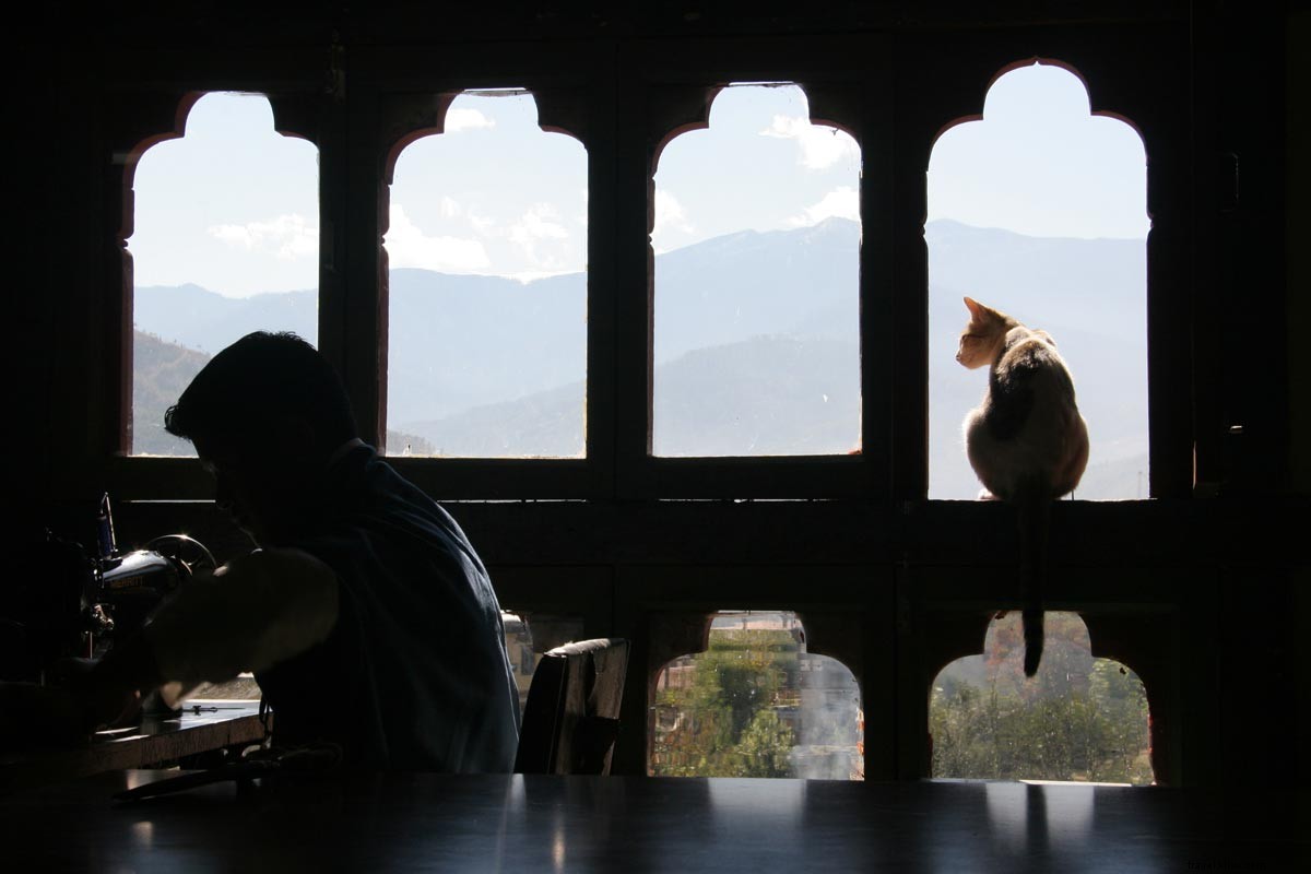 Rois dragons et angoisse existentielle :l histoire d un voyageur au Bhoutan 