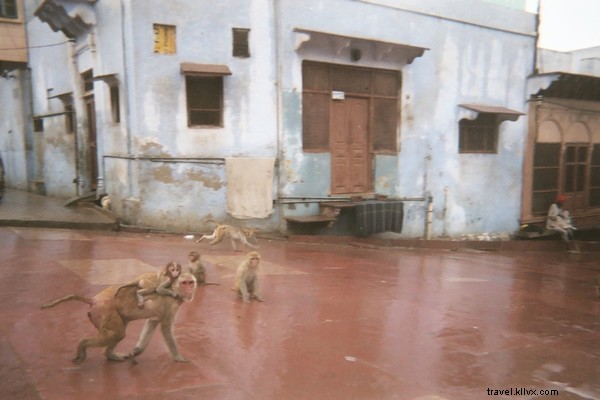 Impresiones duraderas de un templo en un día lluvioso en Uttar Pradesh 