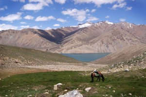 Sur la route au Tadjikistan 