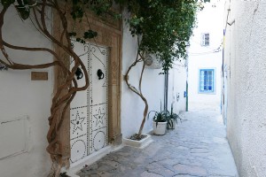 Desenterrando una joya:Túnez, Túnez 