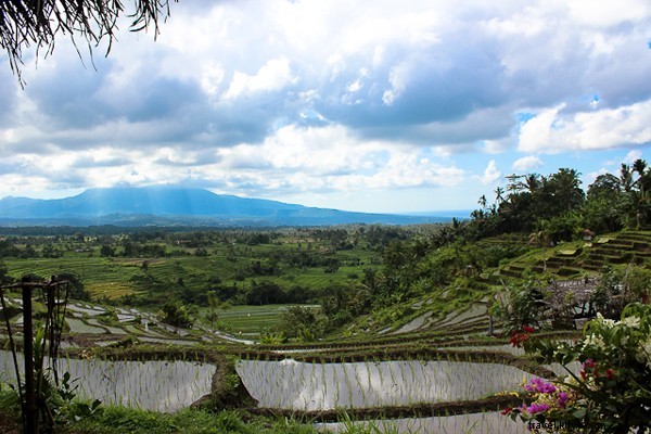 O paraíso no fim do mundo:Bali 