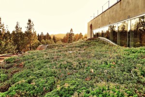 O H2Hotel de Sonoma County é tão ecológico quanto chique 