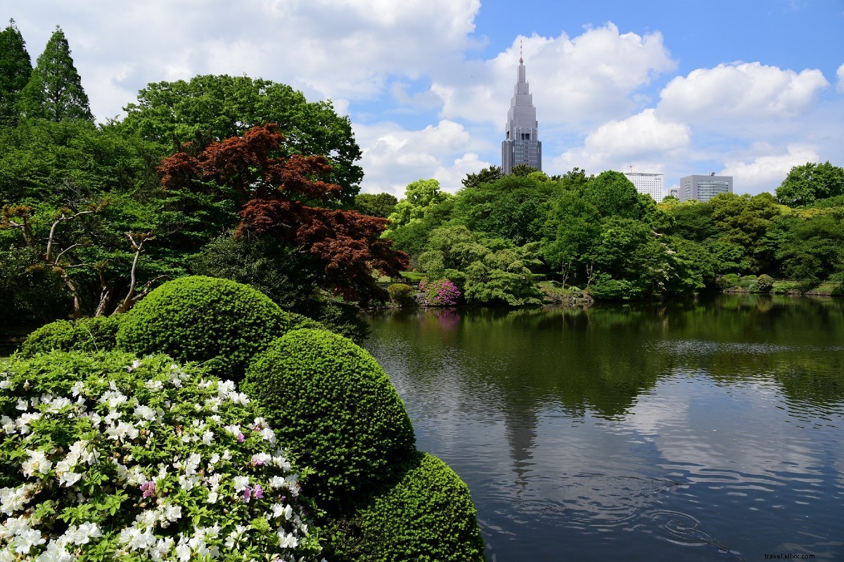 Prenez le train de Tokyo pour découvrir une grande statue de Bouddha, Lacs scintillants, et le mont Fuji de près 