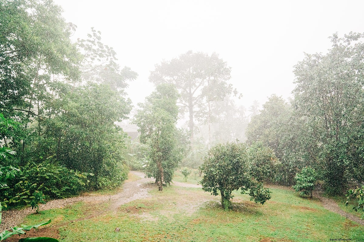 このオフザグリッドエコロッジでは、 あなたはコスタリカの熱帯雨林をすべて自分で持っています 