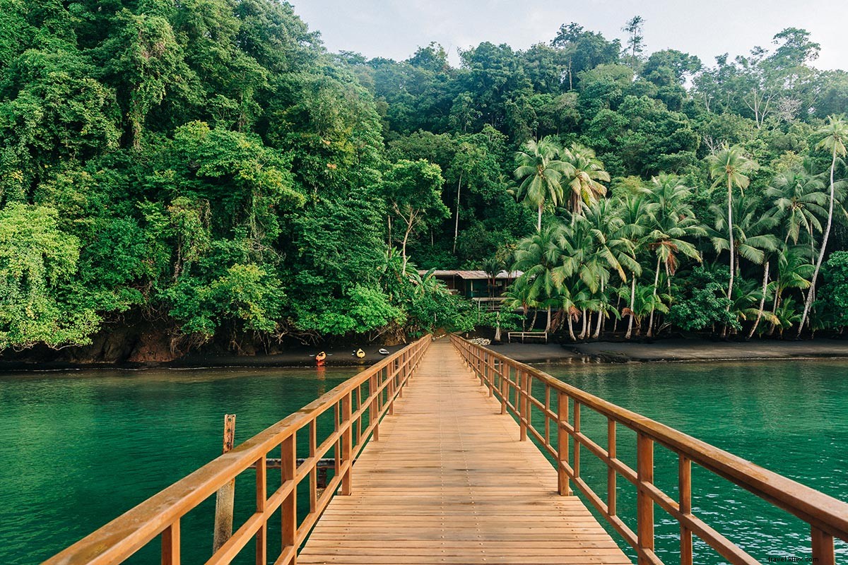 En este Eco Lodge fuera de la red, Tienes la selva tropical de Costa Rica para ti solo 