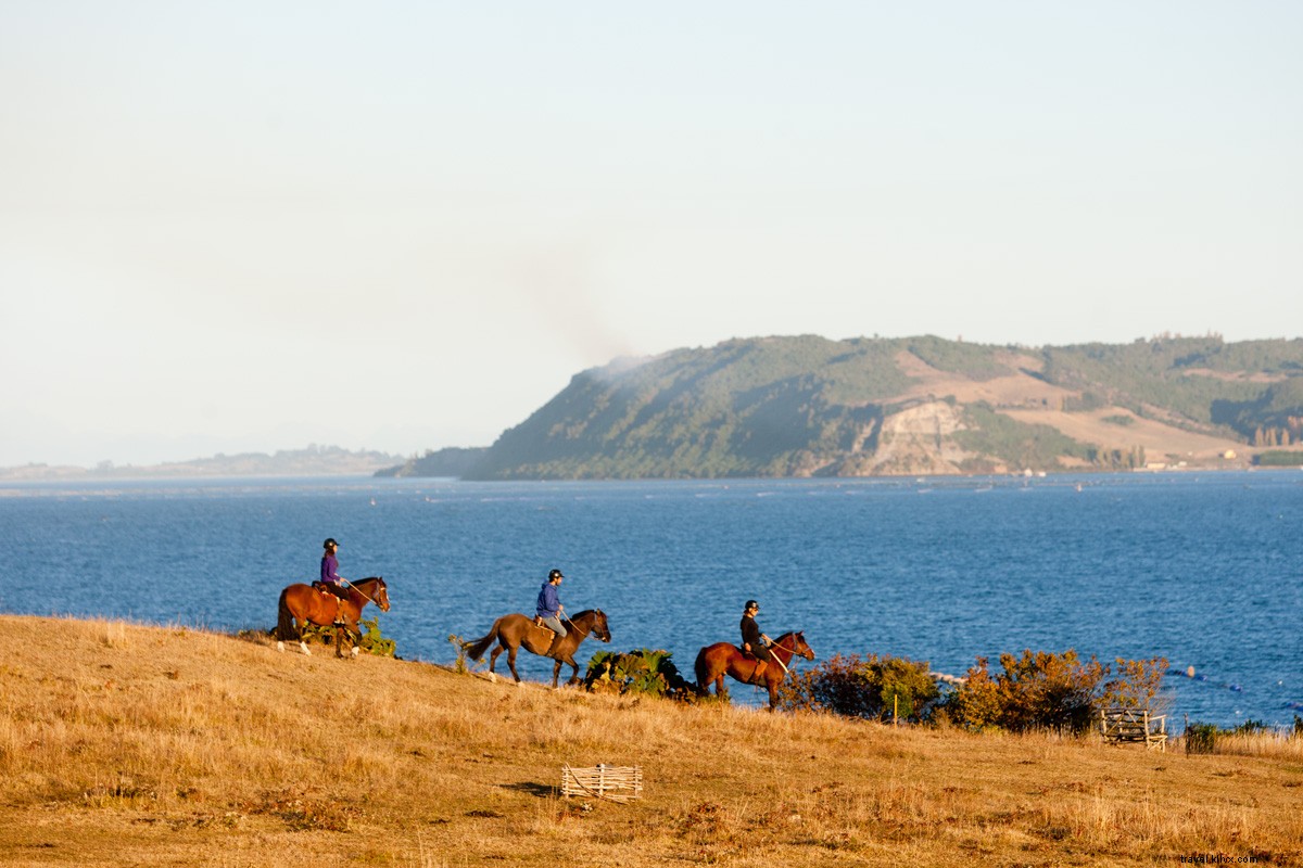 La aventura se encuentra con la serenidad en el borde del mundo en Tierra Chiloé 