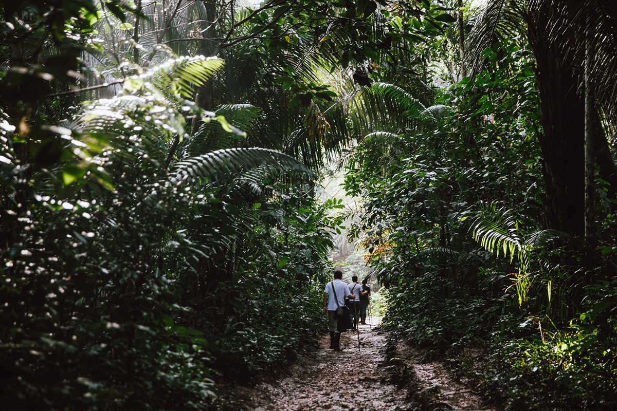 Palsu Menjadi Indiana Jones Anda Sendiri di Amazon Peru 