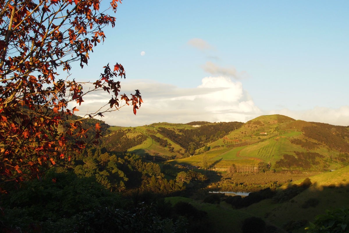 No se limite a hacer referencias a la Tierra Media, Vívelos:los 6 mejores lugares para visitar en la isla norte de Nueva Zelanda 