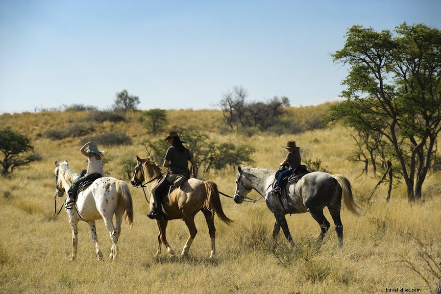 Le luxe et le discret Tswalu d Afrique du Sud redéfinissent le safari 