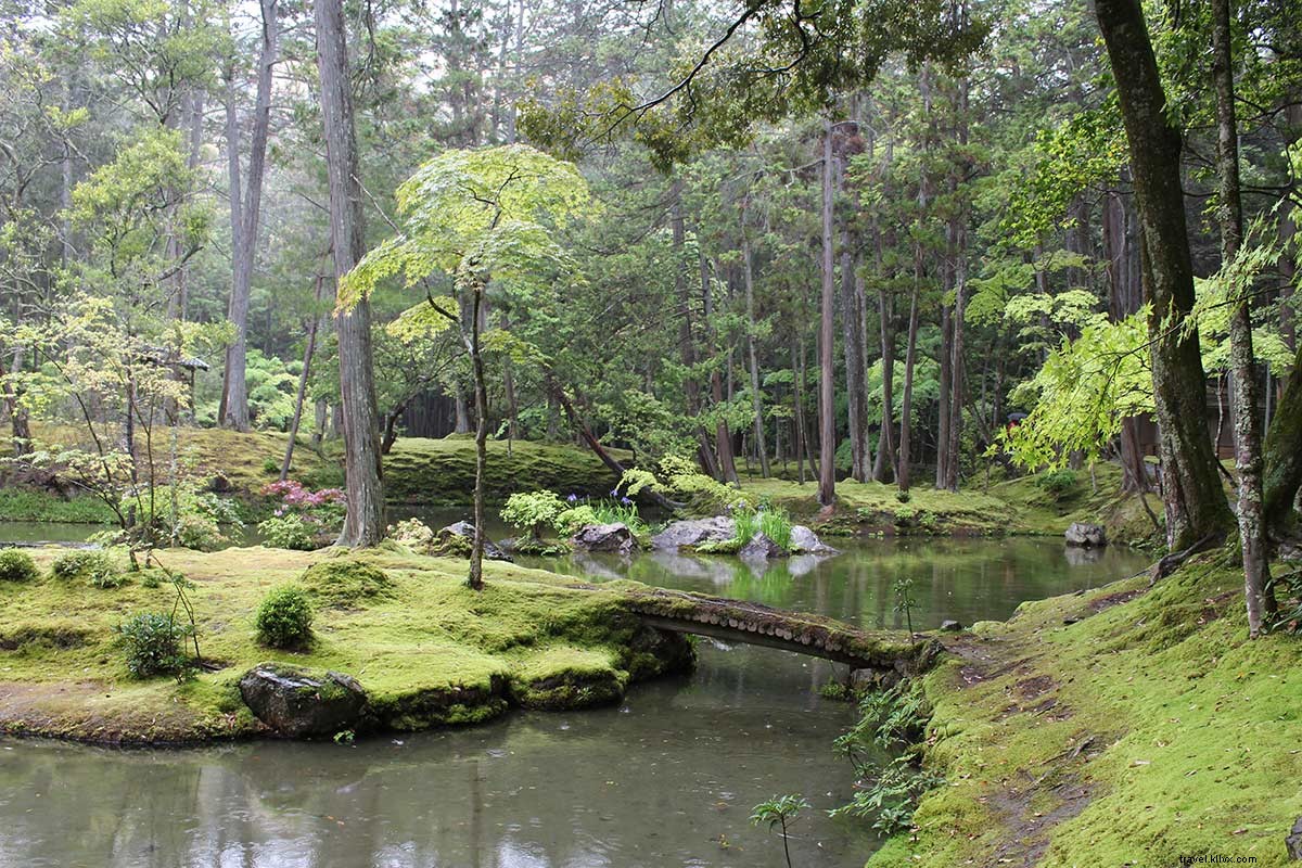 Em busca do paraíso no templo Kyotos Moss 