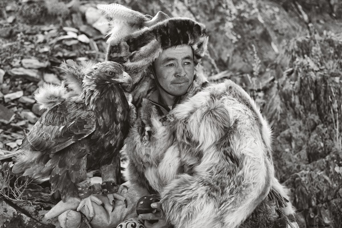 ハイアドベンチャー：モンゴルでのワシとの狩猟 