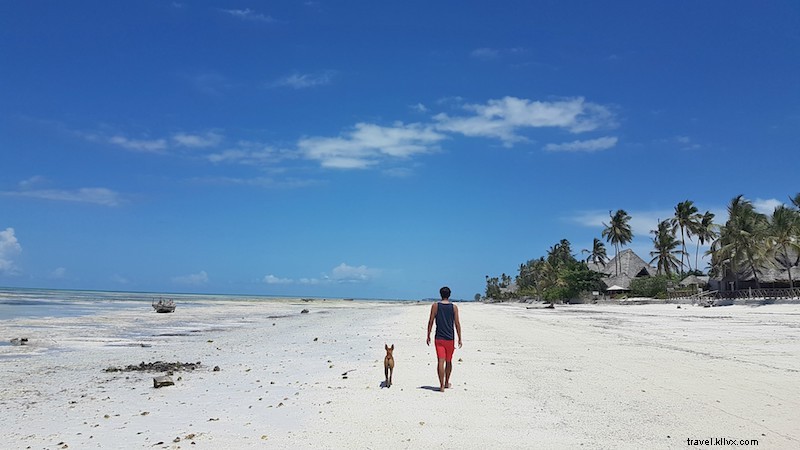 Perjalanan 2 Minggu Saya ke Zanzibar (pondok pantai, makanan setempat, kegiatan dan lainnya) 