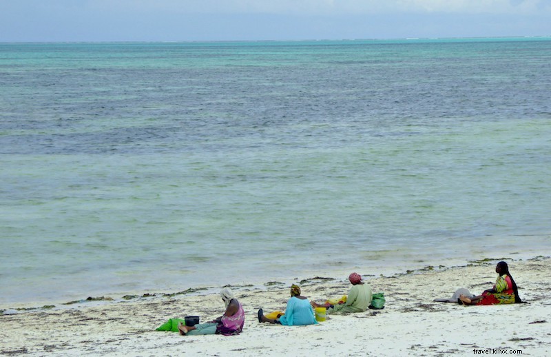 Il mio viaggio di 2 settimane a Zanzibar (capanne sulla spiaggia, cibo locale, attività e altro) 