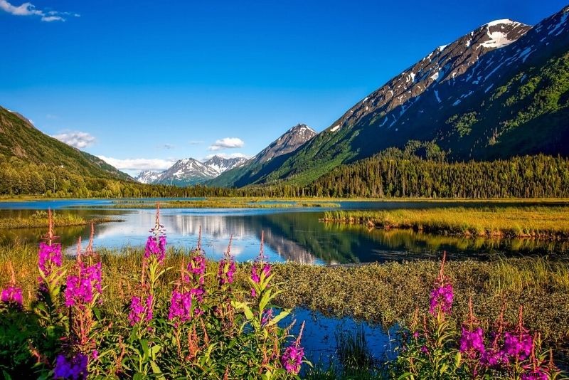 54 Hal Seru &Tidak Biasa yang Dapat Dilakukan di Anchorage, Alaska 