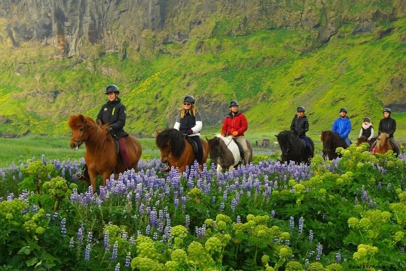 99 melhores coisas para fazer na Islândia - The Ultimate Bucket List 