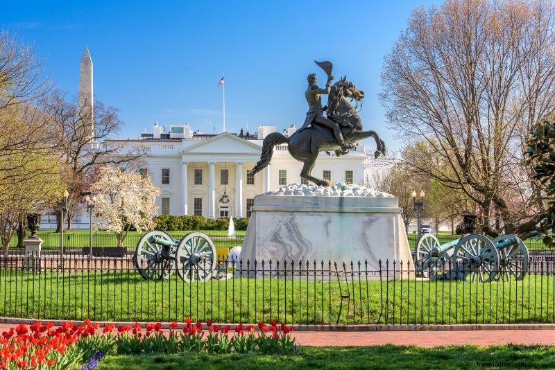 72 cosas divertidas e inusuales para hacer en Washington DC 