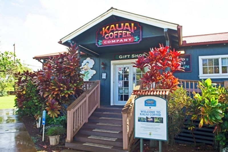 41 choses amusantes à faire à Kauai, Hawaï – Visites et excursions 