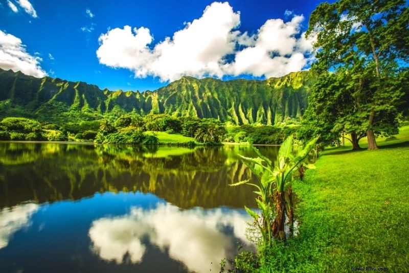 86 cose divertenti e insolite da fare a Oahu (Hawaii) 