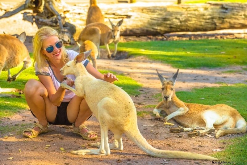 46 Hal Menyenangkan yang Dapat Dilakukan di Perth, Australia 